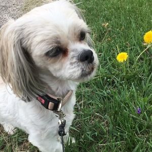 Meet your Posher, Emma